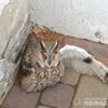 photo-output