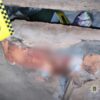 Забив до смерті власну матір: шокуюча новина з Дніпропетровщини! 480909248_640917874991166_1123609536288076446_n