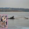 Дніпрянка, ризикуючи власним життям, врятувала собаку з крижаної води! photo_2025-03-03 17.45.22