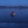 У Києві зоозахисник, намагаючись витягти птаха, провалився під лід (ВІДЕО) photo_5348082058980879272_y